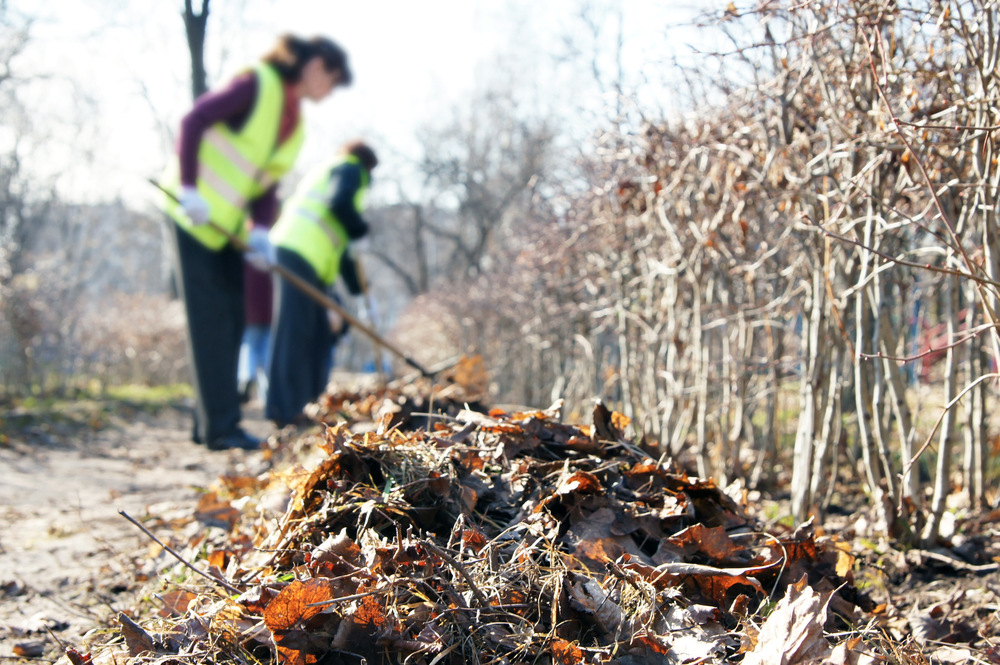 Torbay Council introduce garden waste collection